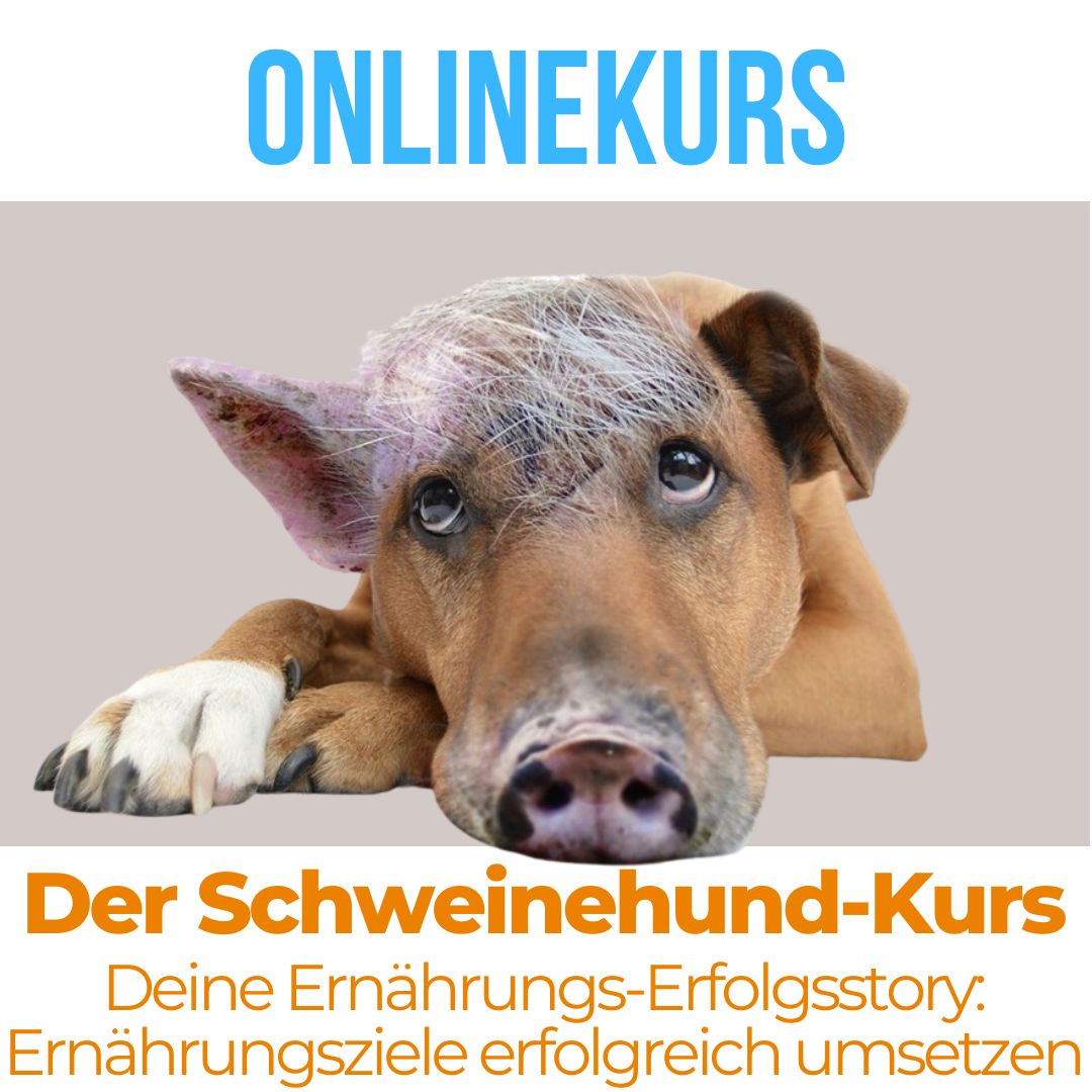 Ernährungsziele erfolgreich umsetzen und den Schweinehund zähmen mit Dr. Gabriela Hoppe | Erfolg durch Ernährung | Ernährungsspezialistin & Heilpraktikerin | Hintergrundbild by Canva