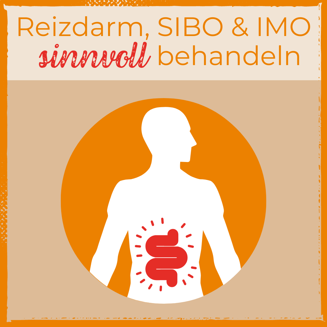 Reizdarm, SIBO und IMO sinnvoll behandeln mit Dr. Gabriela Hoppe | Erfolg durch ganzheitliche Regulation | Reizdarm- und Stoffwechselspezialistin & Heilpraktikerin - Hintergrundbild by Canva